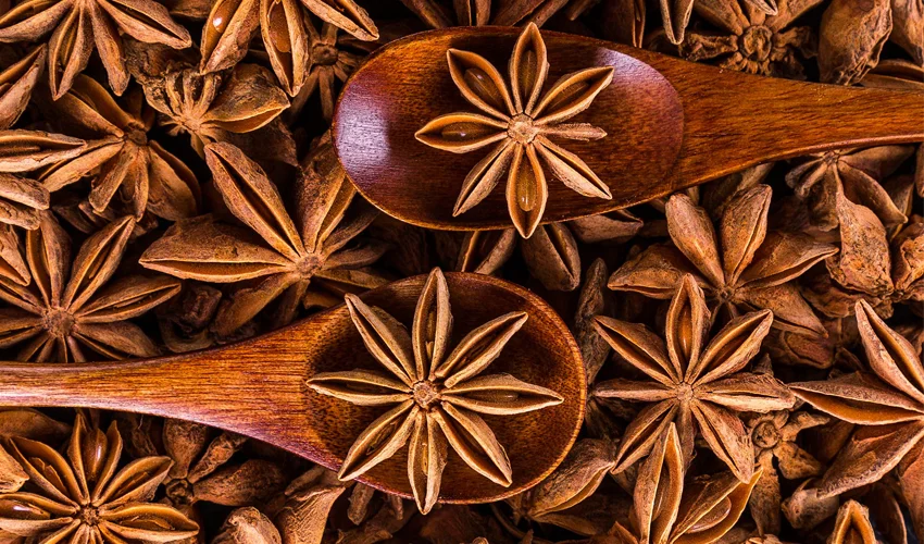 Star Anise - CookingRevived