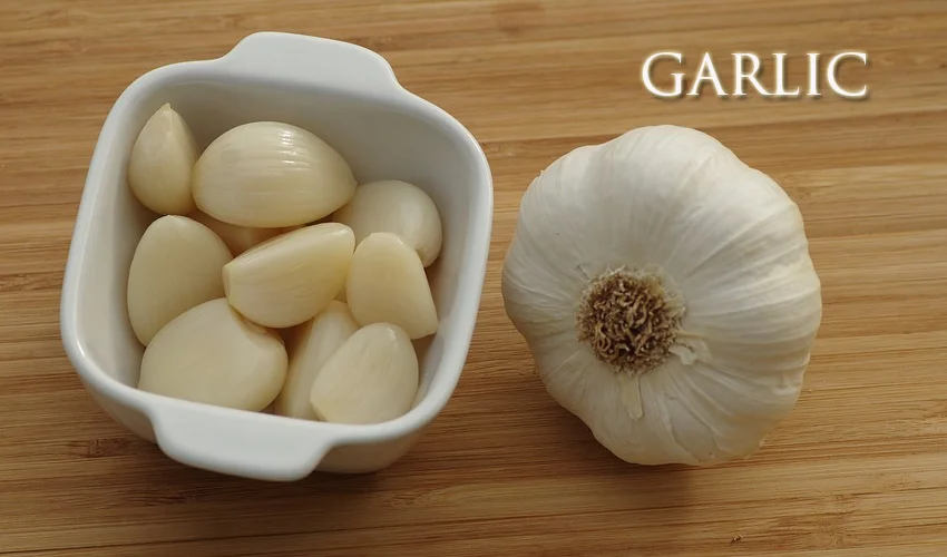 Garlic - Cooking Revived