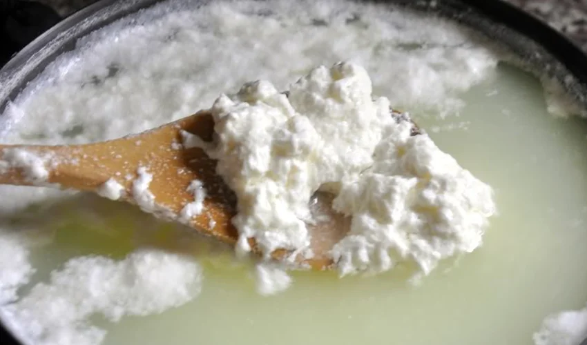 What to do if milk curdles when boiling